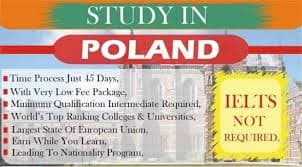 MICHEAL OVERSEAS CONSULTANT Images photo 1